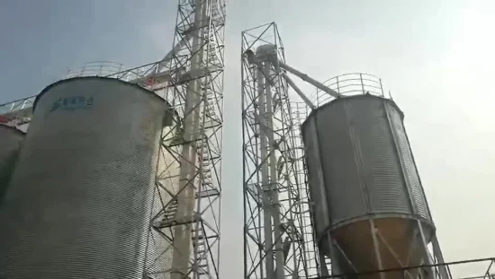 Sistema de carga de elevador de granos de elevador de cangilones personalizado de fábrica Shelley de China
